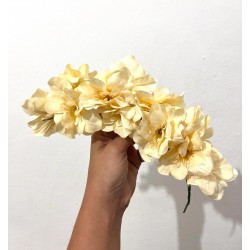 TIARA PILAS