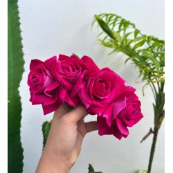 CORONA ROSAS FUCSIA