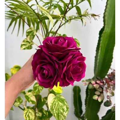 RAMILLETE DE ROSAS BUGANVILLA