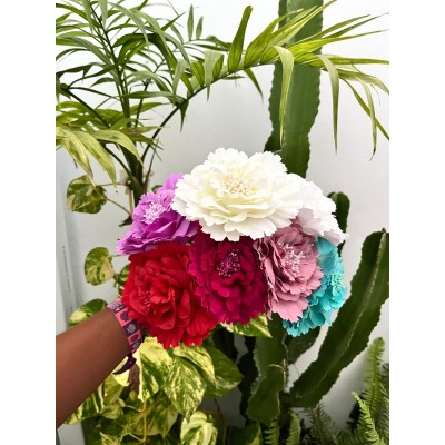 PEONIA PISTILO NIÑA