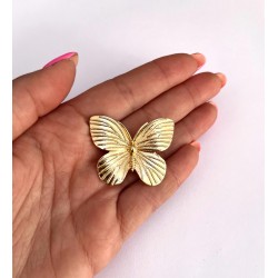 Broche Mariposita reina